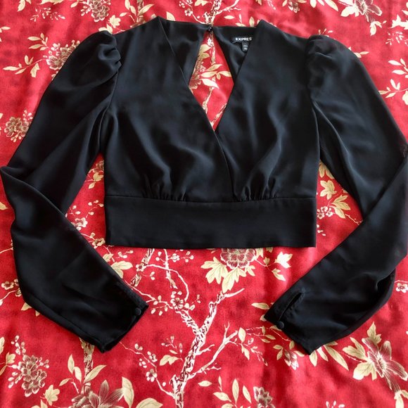 Stunning Express Puff-Shoulder V-Front Open-Back Long-Sleeve Crop Blouse XXS - Picture 8 of 16